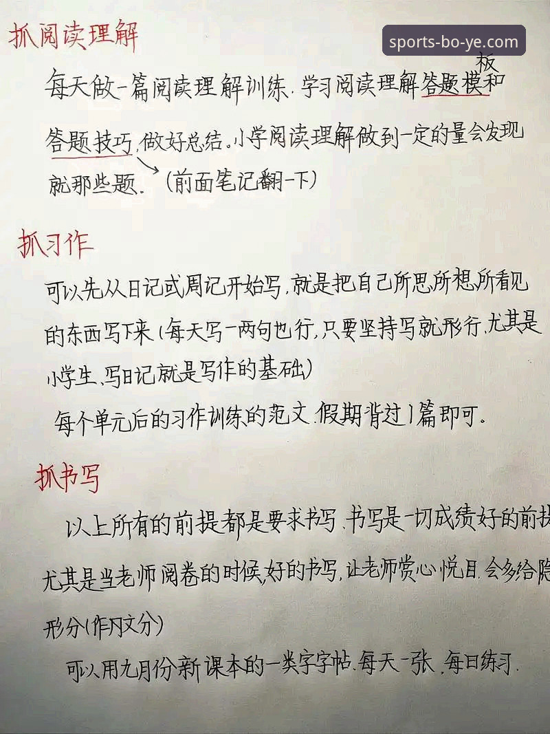5个实用角度告诉你博业体育好用吗：新手入门到熟练使用的完整指南